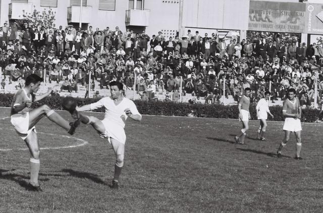 星空体育-布拉泽维奇的传奇一生②：辉煌生涯，起飞于瑞士